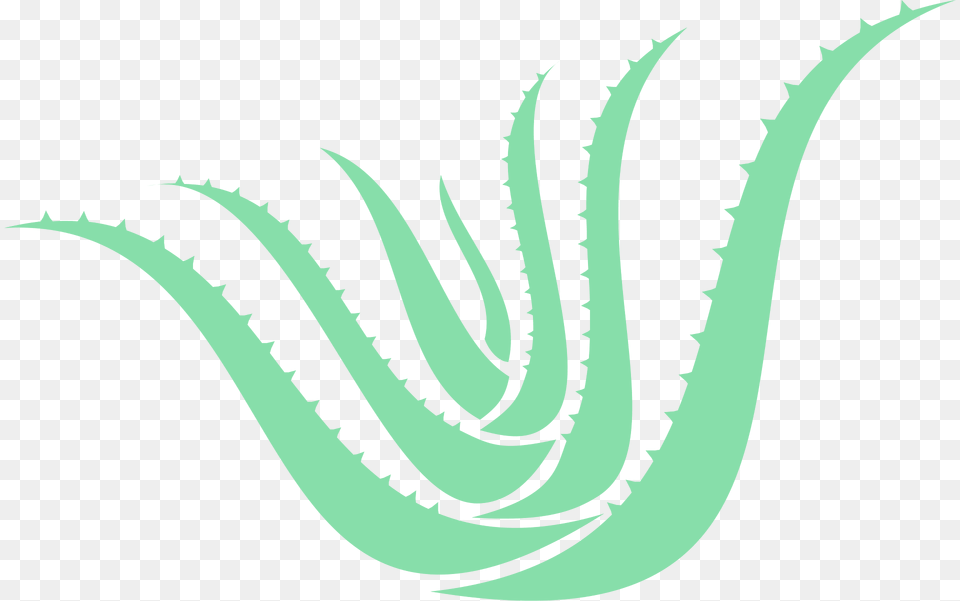 Aloe Vera Clipart, Plant, Smoke Pipe, Green Free Png