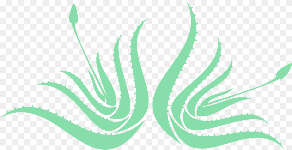 Aloe Vera Clipart, Green, Plant Png