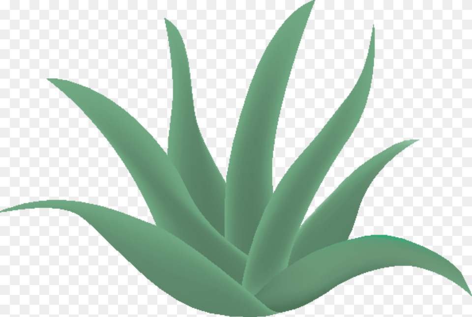 Aloe Vera Clipart, Plant Free Png