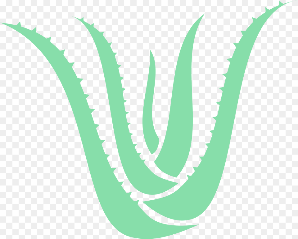 Aloe Vera Clipart, Plant Png Image