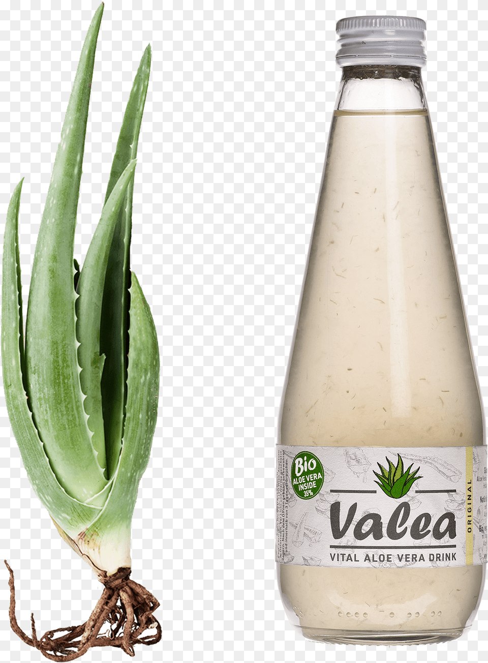 Aloe Vera Flaschestyle Margin Valea Aloe Vera Drink, Plant, Alcohol, Beer, Beverage Free Png