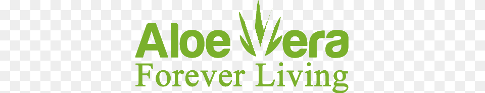 Aloe Vera Forever Living, Green, Logo, Ball, Sport Free Png Download