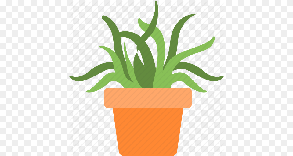 Aloe Vera Garden Plant Pot Succulent Icon, Jar, Planter, Potted Plant, Pottery Png Image