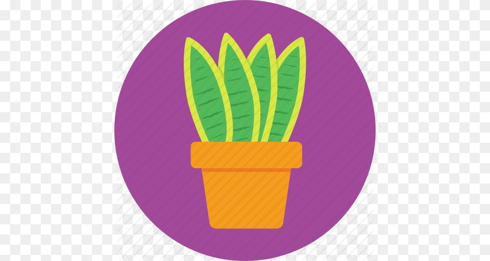 Aloe Vera Garden Plant Pot Succulent Icon, Jar, Leaf, Planter, Potted Plant Free Png