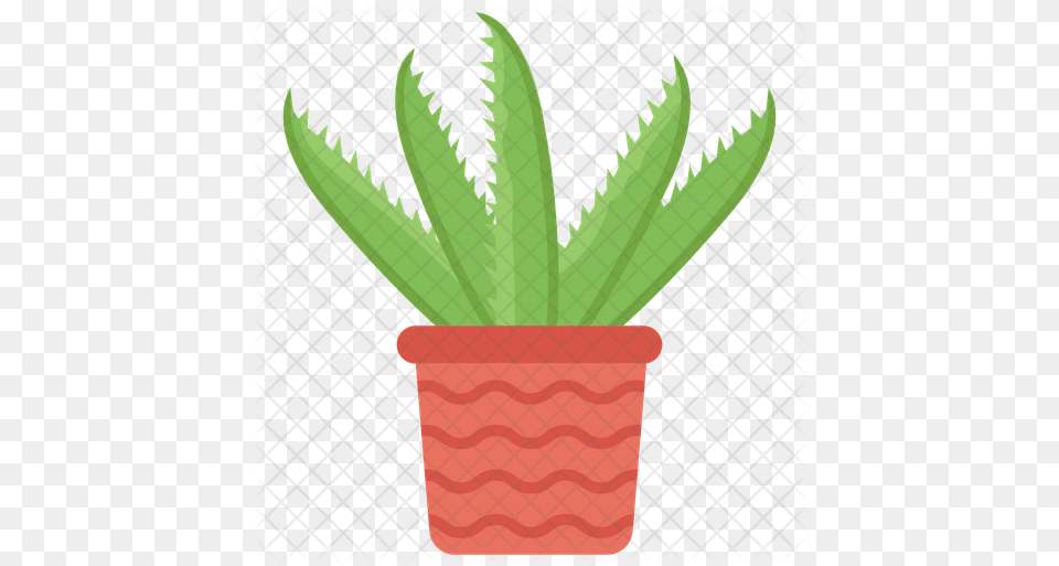 Aloe Vera Icon Flowerpot, Plant, Potted Plant, Leaf, Jar Free Transparent Png