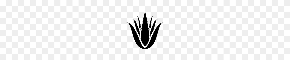 Aloe Vera Icons Noun Project, Gray Png Image