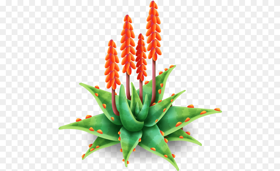 Aloe Vera Images Aloe Flower, Plant Free Png