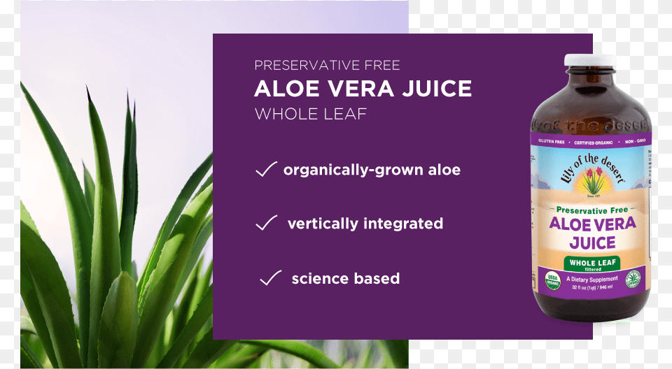 Aloe Vera Juice Whole Leaf Aloe Vera, Herbal, Plant, Herbs, Seasoning Png Image