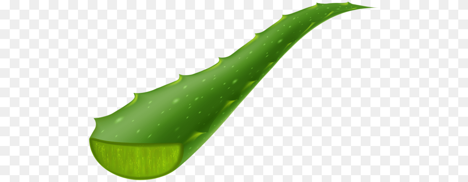 Aloe Vera Piece Transparent Clip Art Image Aa Flores, Plant, Appliance, Blow Dryer, Device Free Png