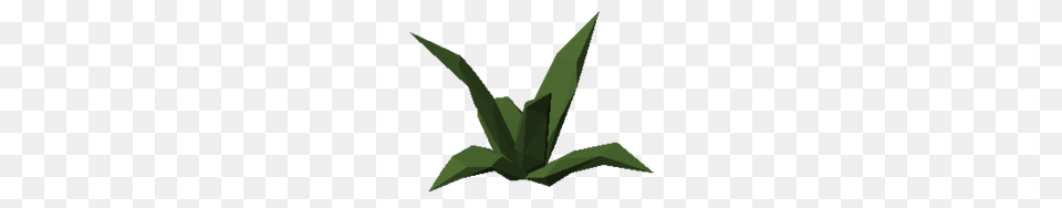 Aloe Vera Plant, Leaf, Paper, Green, Art Png