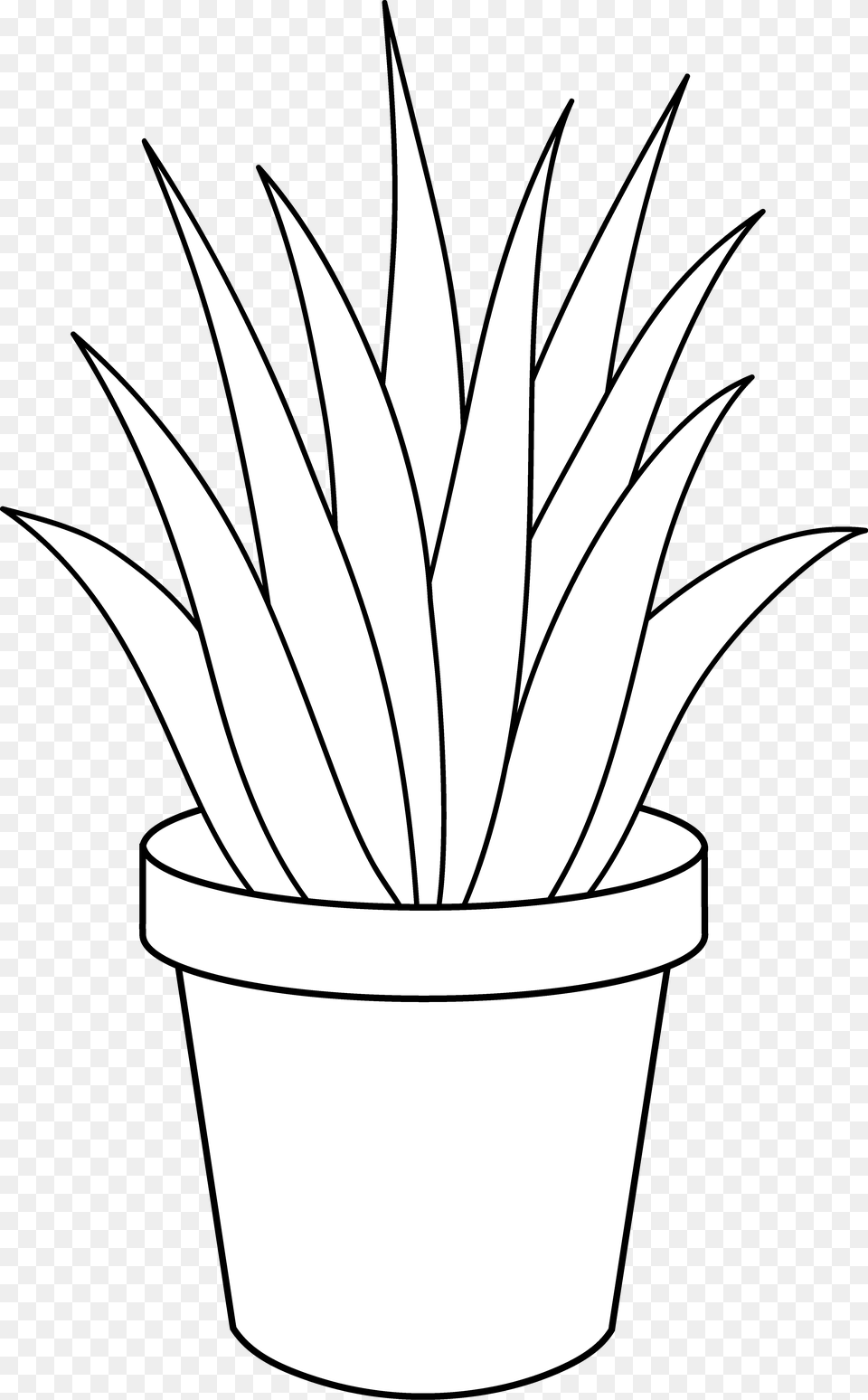 Aloe Vera Plant Line Art Plants Art Black And White, Potted Plant, Bow, Weapon, Jar Free Png Download