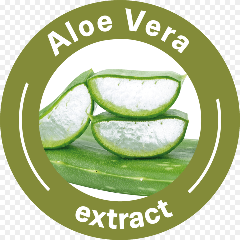 Aloe Vera Textile Free Transparent Png