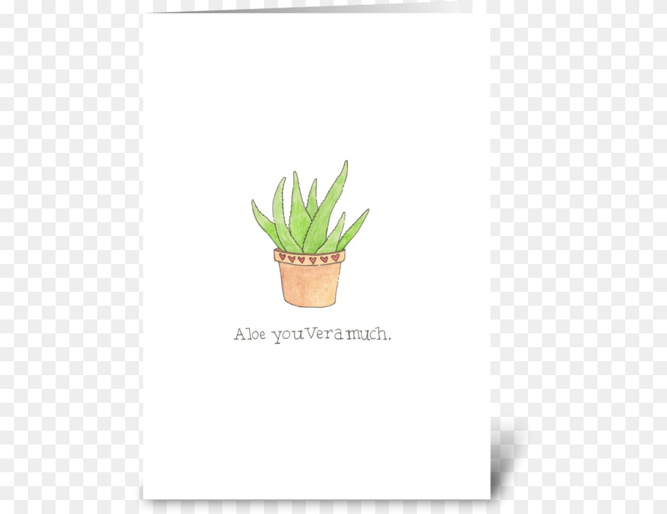 Aloe You Vera Much Flowerpot, Plant, Leaf Free Png