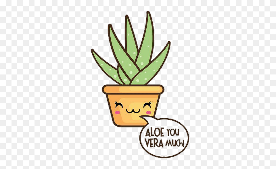 Aloevera Kawaii Plant Cute U Guys Reeeeal, Aloe Free Transparent Png