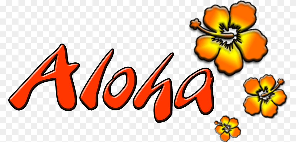 Aloha 1 Wallflower, Flower, Petal, Plant, Anther Free Png