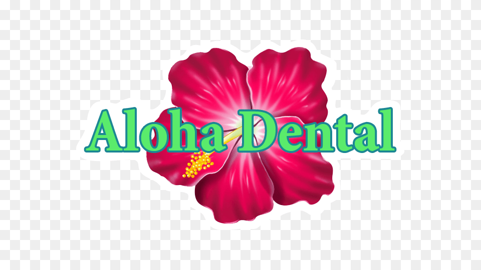 Aloha, Flower, Petal, Plant, Hibiscus Free Png