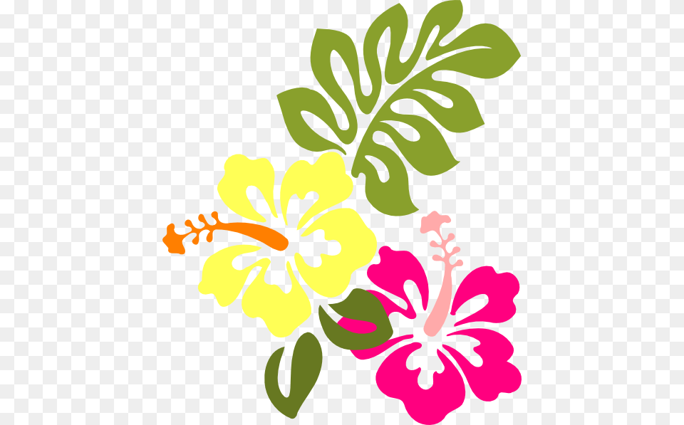 Aloha Flowers Clipart, Flower, Hibiscus, Plant Free Transparent Png