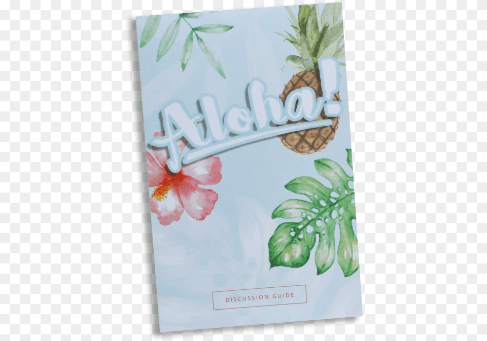 Aloha Valerian, Envelope, Mail, Greeting Card, Advertisement Free Png Download