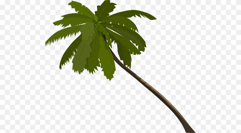 Alone Clip Art At Clker Com Vector Palm Tree Public Domain, Leaf, Palm Tree, Plant Free Png