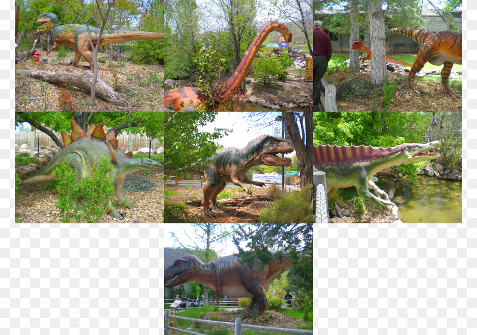 Along The Way We Saw Tyrannosaurus, Animal, Zoo, Dinosaur, Reptile Png
