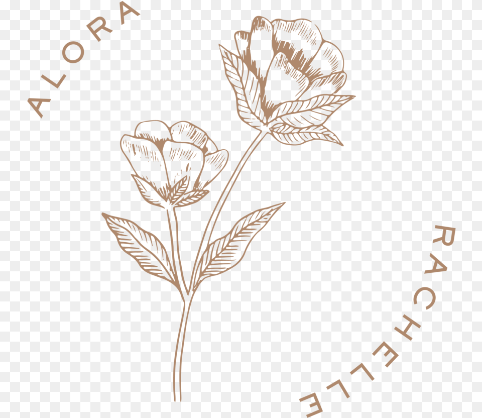 Alora Submark 1 Snow Crocus, Leaf, Plant, Flower Png Image