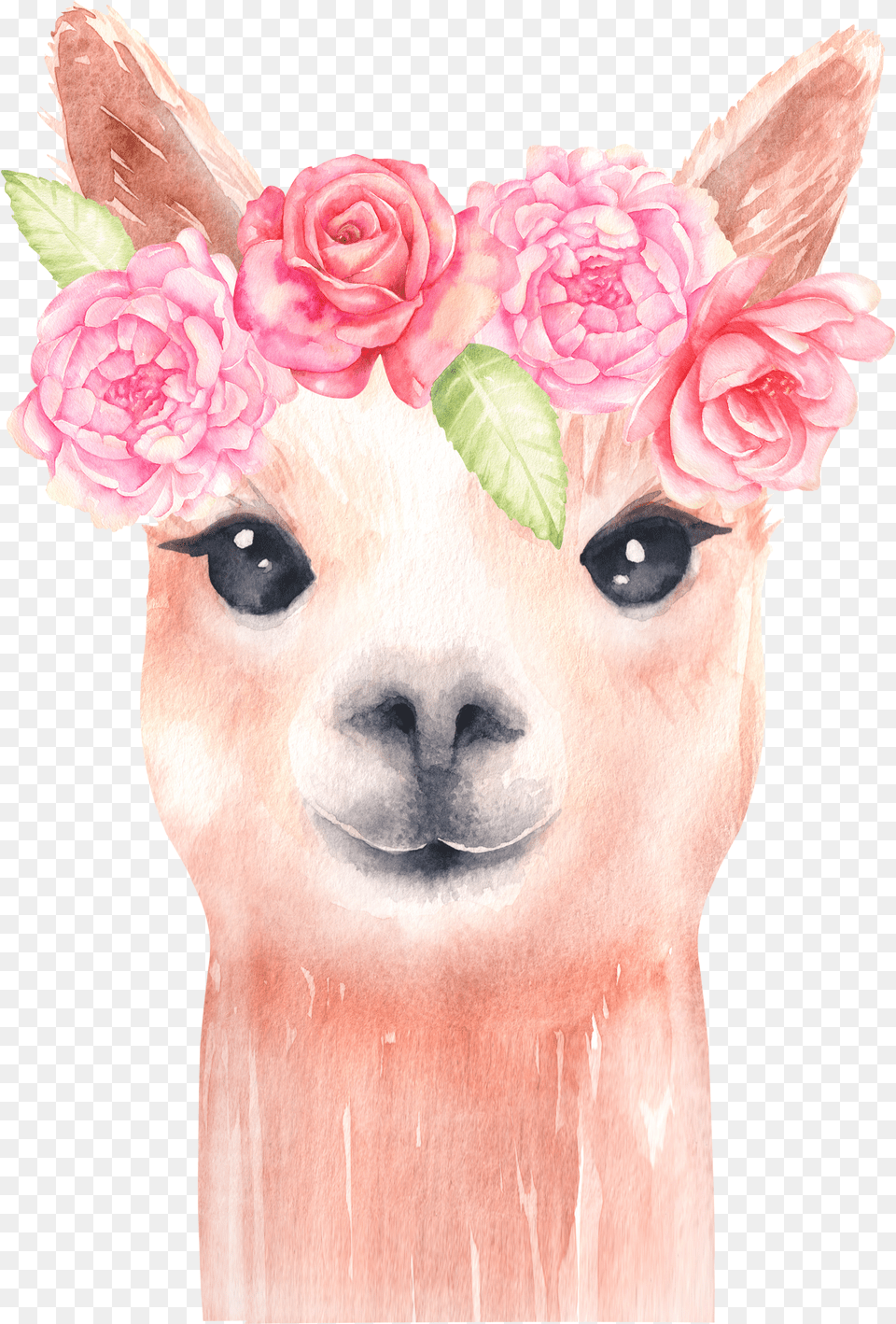 Alpaca And Flower Clipart Llama Clip Art Watercolor Watercolor Llama Free Transparent Png