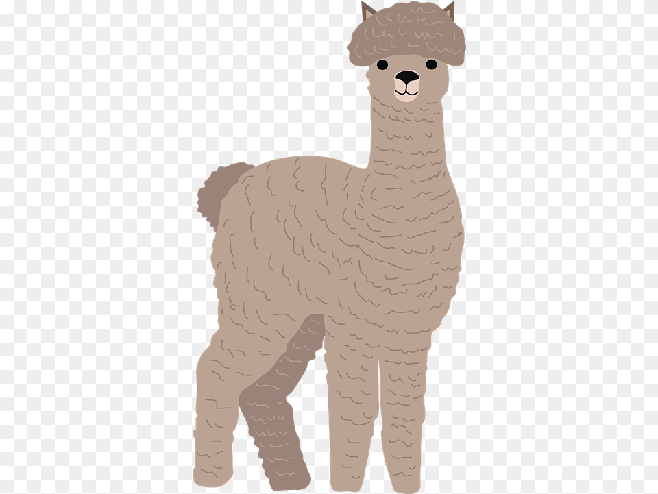 Alpaca Animal Llama Animal Figure, Mammal, Baby, Person Png Image