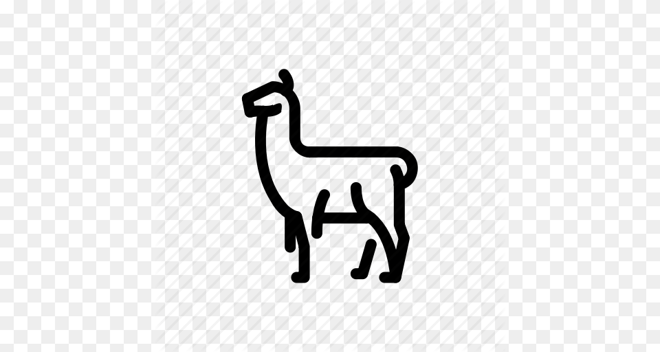 Alpaca Animal Llama Icon, Mammal Free Png Download