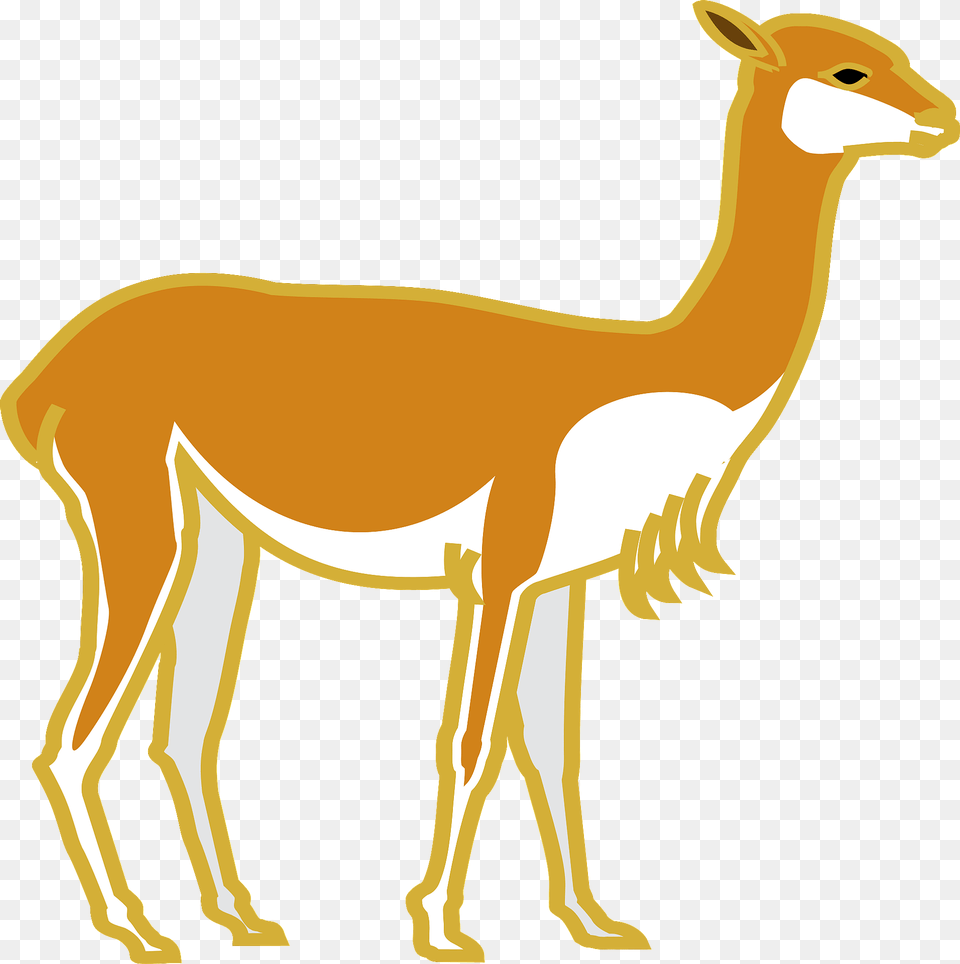 Alpaca Clipart, Animal, Mammal, Kangaroo Free Transparent Png