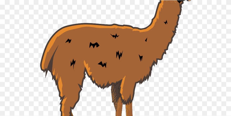 Alpaca Clipart, Animal, Llama, Mammal, Person Free Transparent Png