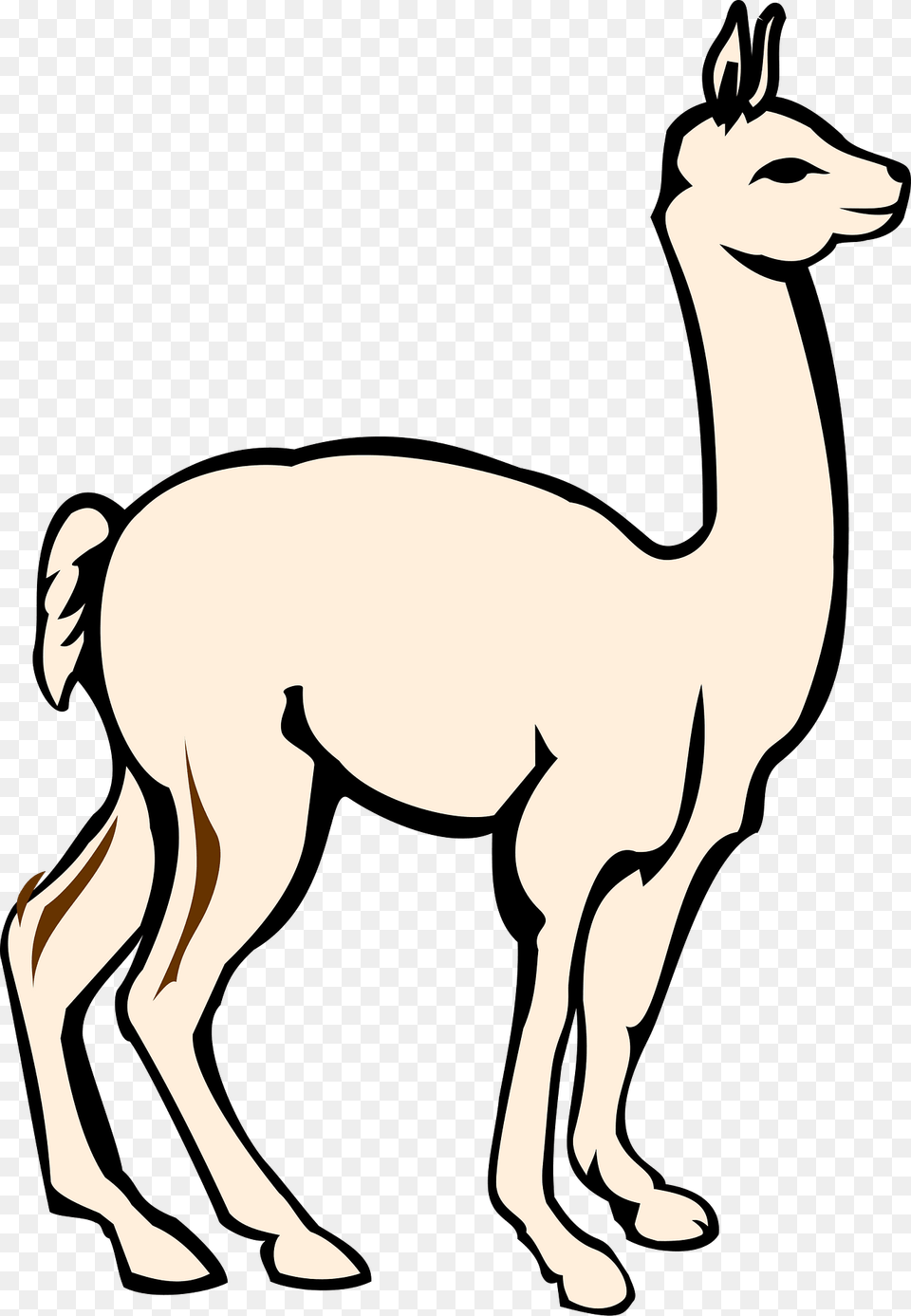 Alpaca Clipart, Animal, Mammal, Llama, Kangaroo Png Image