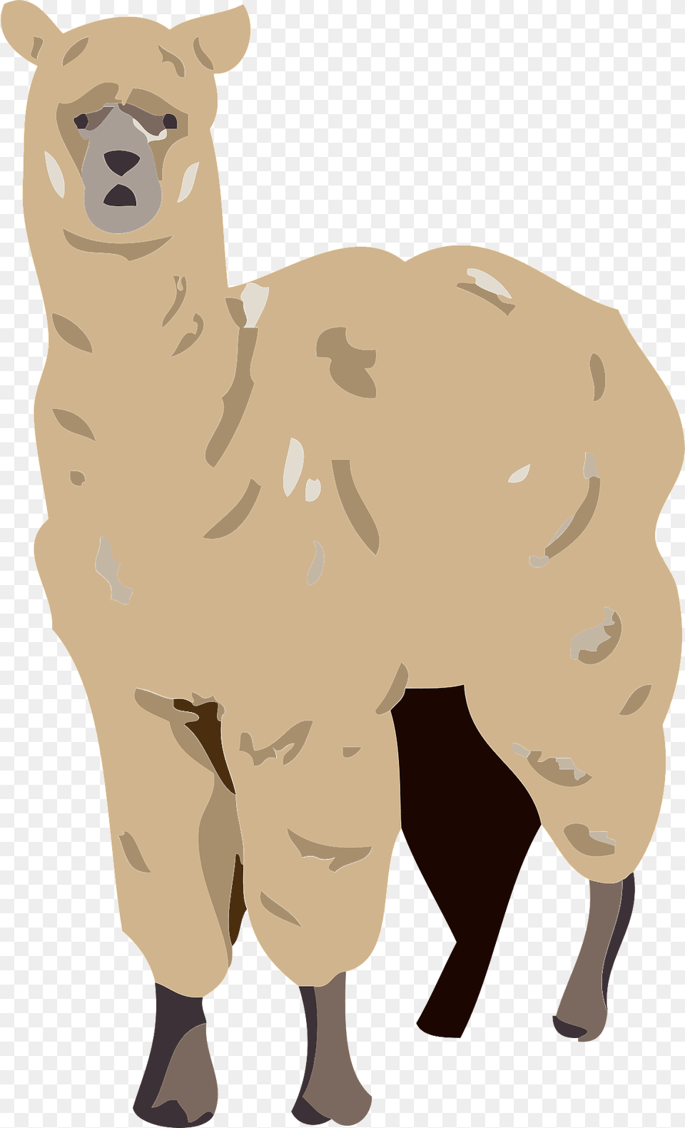 Alpaca Clipart, Animal, Mammal, Person, Face Png Image