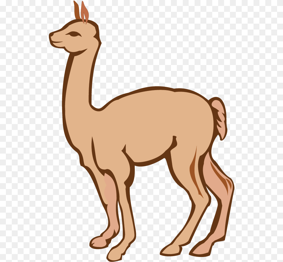Alpaca Clipart Animal Figure, Llama, Mammal, Adult, Female Png