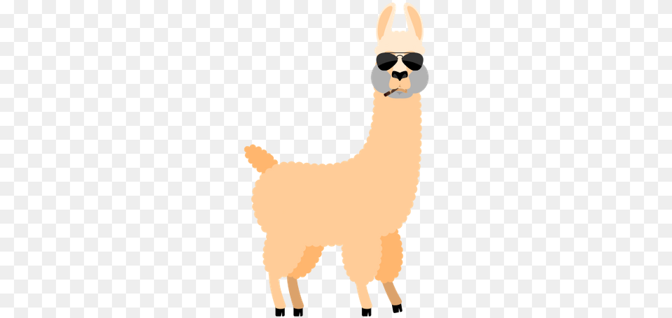 Alpaca Illustration, Accessories, Sunglasses, Animal, Llama Free Png