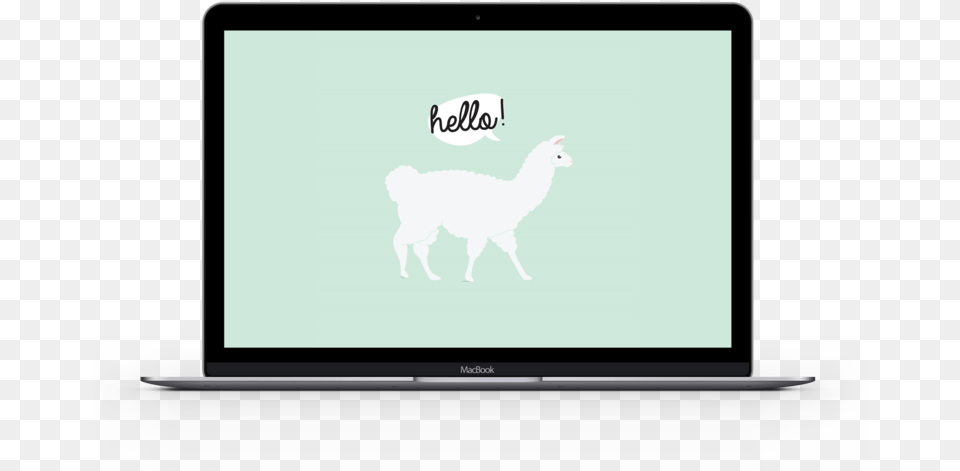 Alpaca Laptop Llama, Screen, Electronics, Animal, Pc Png Image