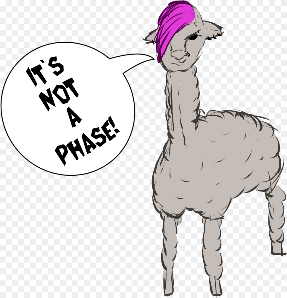 Alpaca Transparent Cartoon Cartoon Llama, Adult, Female, Person, Woman Free Png Download