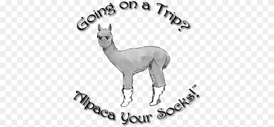 Alpaca Your Socks Home Animal Figure, Mammal, Kangaroo, Art Png Image