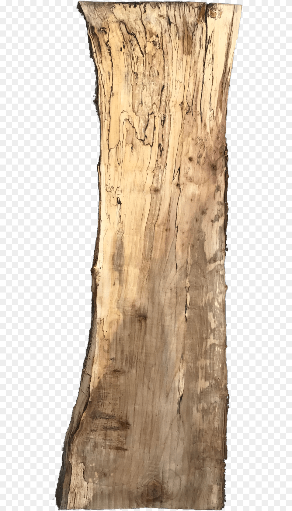 Alpha Background Live Edge Wood No Background, Plant, Tree, Tree Trunk Free Png
