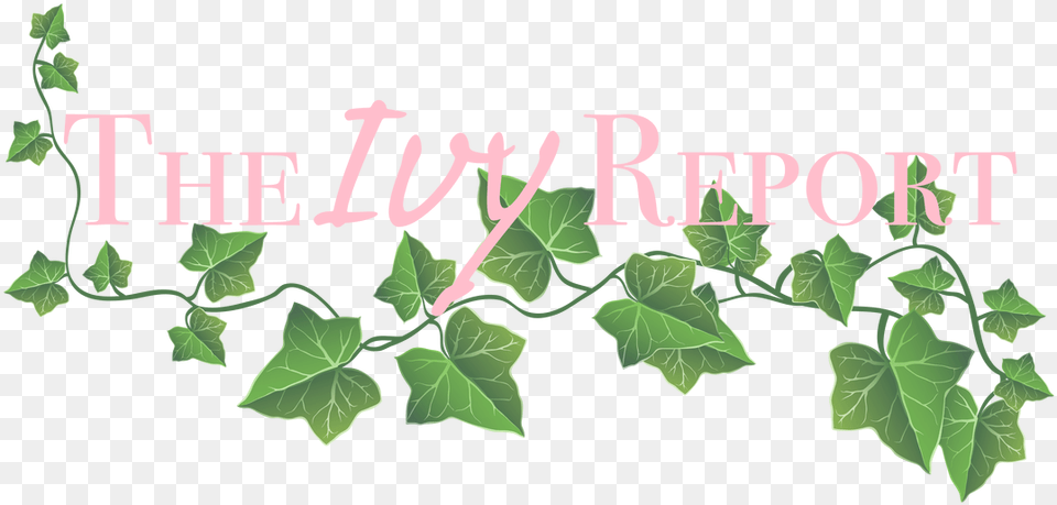 Alpha Kappa Transparent Background Vine Leaves Transparent, Ivy, Leaf, Plant Png