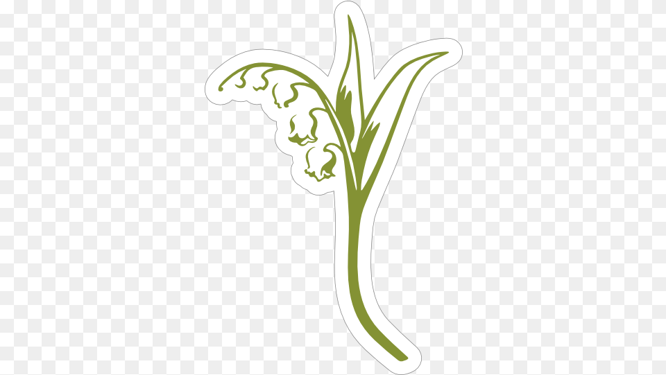 Alpha Phi Lily Of The Valley Sticker Illustration, Flower, Plant Png Image