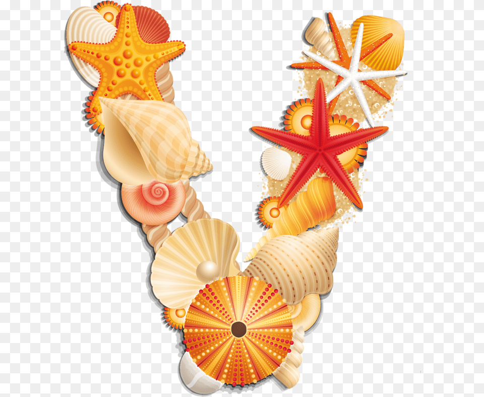 Alphabet, Animal, Seashell, Sea Life, Invertebrate Free Transparent Png