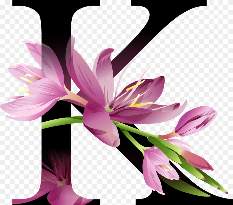 Alphabet Flowers, Anther, Flower, Plant, Petal Free Png