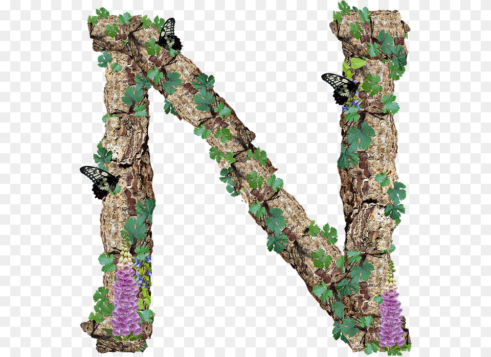 Alphabet Letter N Rustic Timber Bark Alphabet M, Plant, Tree, Art, Collage Free Png Download