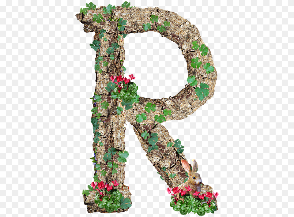 Alphabet Letter R Rustic Timber Bark Stylish R Photo Download, Plant, Flower, Flower Arrangement, Leaf Free Transparent Png