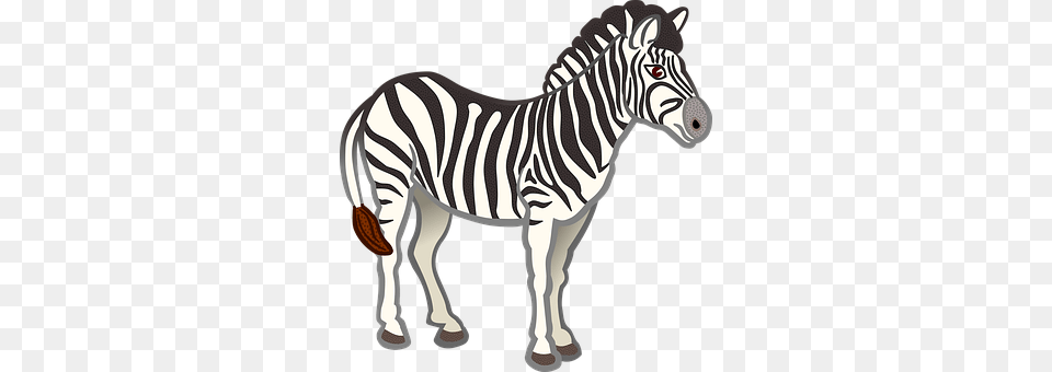 Alphabet Word Animal, Mammal, Wildlife, Zebra Free Png Download