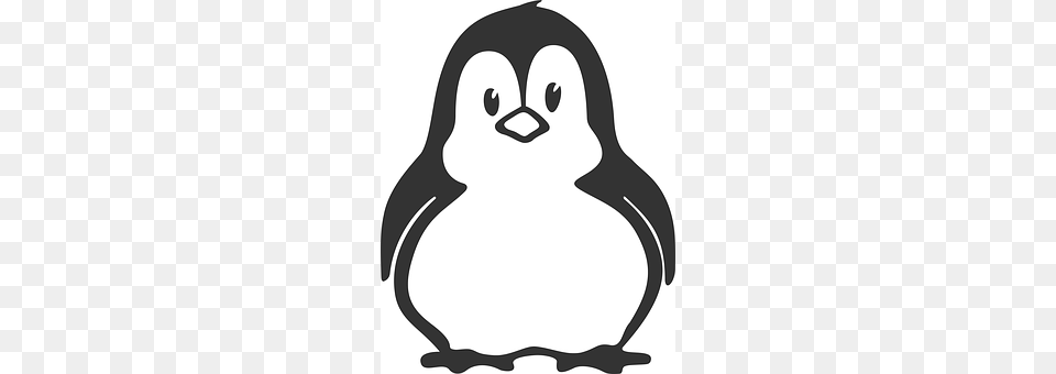Alphabet Word Images Animal, Bird, Penguin Png Image