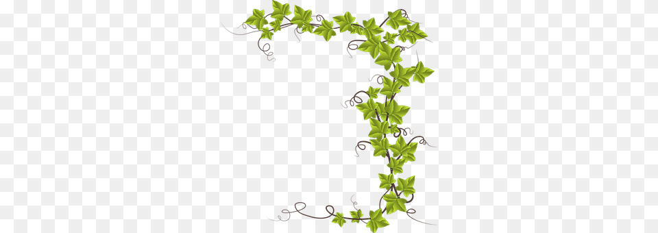 Alphabet Word Images Plant, Vine, Flower, Art Free Transparent Png