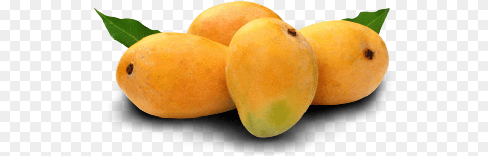 Alphonso Mango 1 Image Mango Images Of Fruits, Food, Fruit, Plant, Produce Free Png
