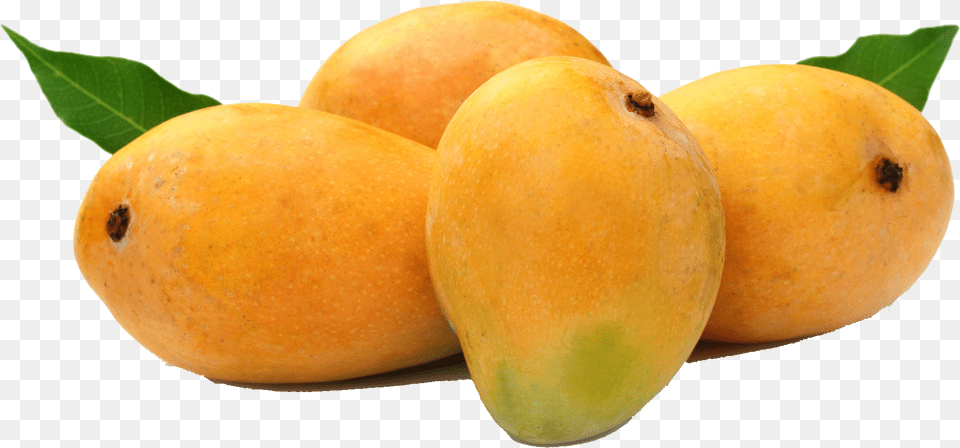 Alphonso Mango, Food, Fruit, Plant, Produce Free Png