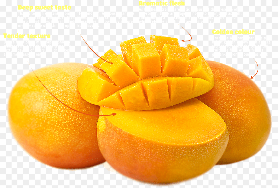 Alphonso Mango Mango Alfonso, Food, Fruit, Plant, Produce Free Png